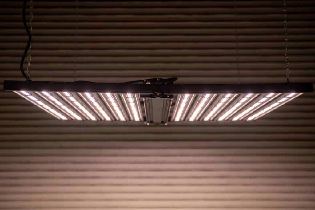 IntelliconGrowLight__2078