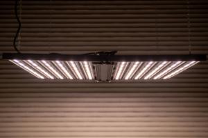 IntelliconGrowLight__2078