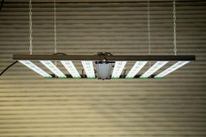 IntelliconGrowLight__2096
