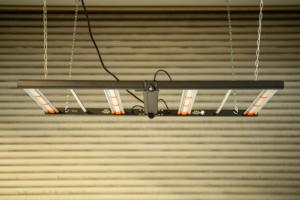 IntelliconGrowLight__2132